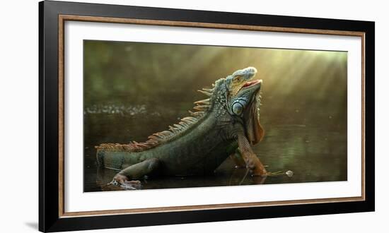 Morning Light-Fahmi Bhs-Framed Photographic Print