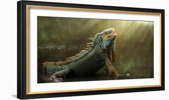 Morning Light-Fahmi Bhs-Framed Photographic Print