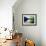 Morning Light-Tadashi Asoma-Framed Art Print displayed on a wall