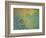 Morning Light-Herb Dickinson-Framed Photographic Print