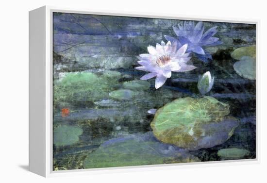 Morning Light-Ailian Price-Framed Stretched Canvas