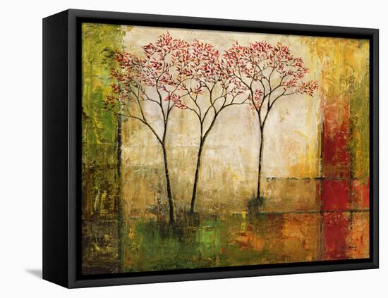 Morning Luster II-Mike Klung-Framed Stretched Canvas