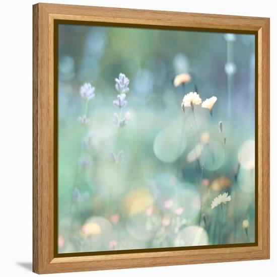 Morning Meadow I-Kate Carrigan-Framed Stretched Canvas