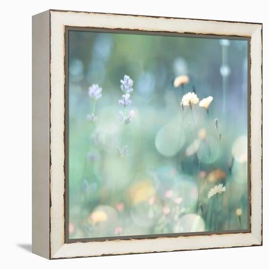 Morning Meadow I-Kate Carrigan-Framed Stretched Canvas