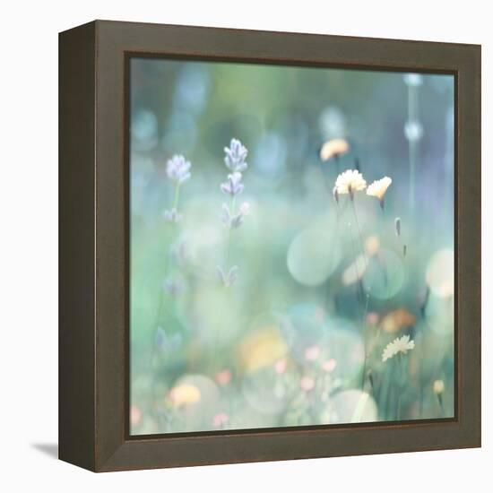 Morning Meadow I-Kate Carrigan-Framed Stretched Canvas