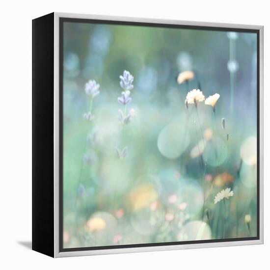 Morning Meadow I-Kate Carrigan-Framed Stretched Canvas