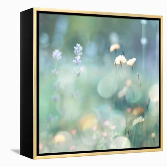 Morning Meadow I-Kate Carrigan-Framed Stretched Canvas