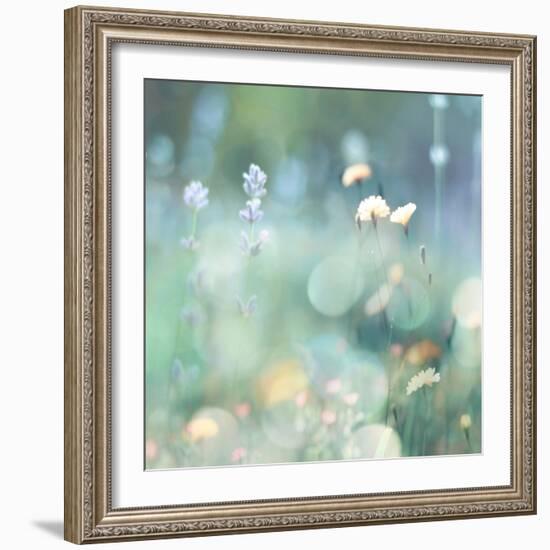 Morning Meadow I-Kate Carrigan-Framed Art Print