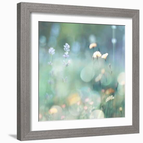 Morning Meadow I-Kate Carrigan-Framed Art Print