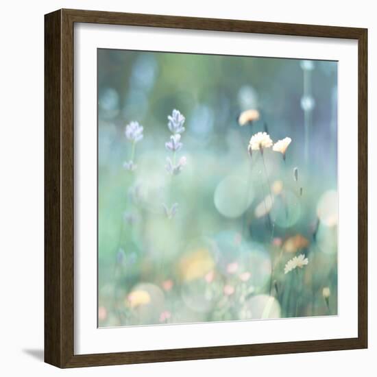 Morning Meadow I-Kate Carrigan-Framed Art Print