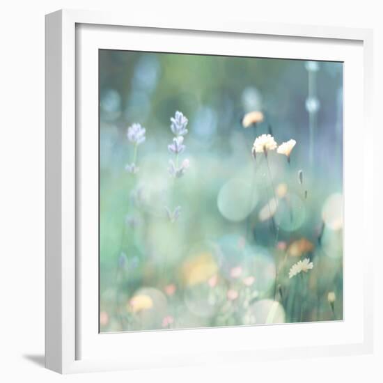 Morning Meadow I-Kate Carrigan-Framed Art Print