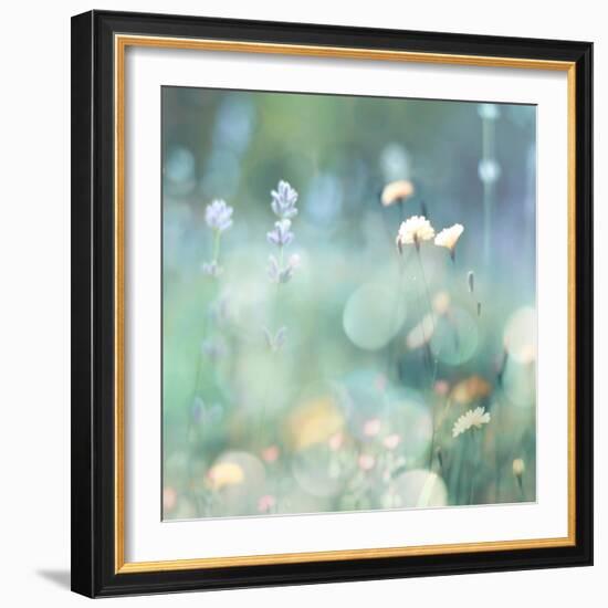 Morning Meadow I-Kate Carrigan-Framed Art Print