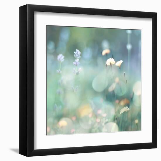 Morning Meadow I-Kate Carrigan-Framed Art Print