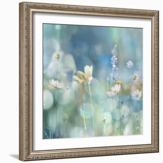 Morning Meadow II-Kate Carrigan-Framed Art Print