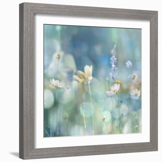 Morning Meadow II-Kate Carrigan-Framed Art Print