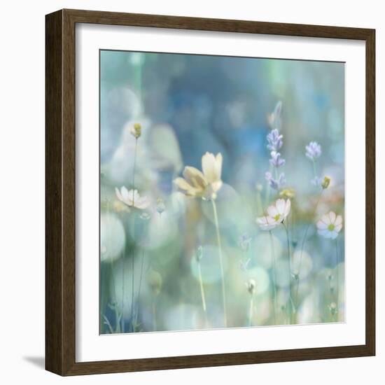 Morning Meadow II-Kate Carrigan-Framed Art Print