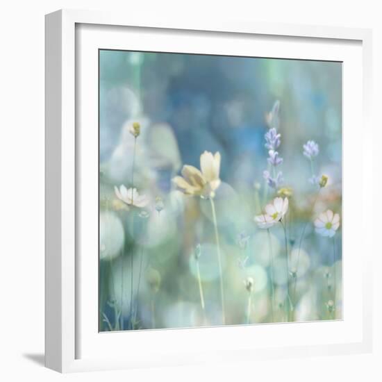 Morning Meadow II-Kate Carrigan-Framed Art Print