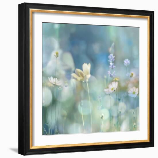 Morning Meadow II-Kate Carrigan-Framed Art Print