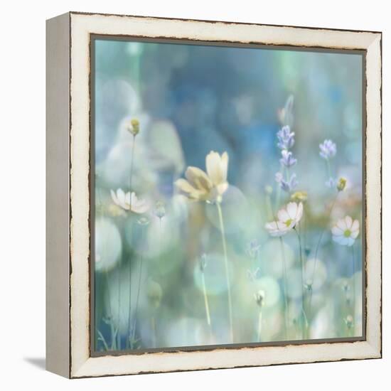 Morning Meadow II-Kate Carrigan-Framed Stretched Canvas