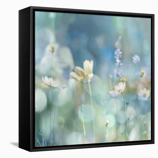 Morning Meadow II-Kate Carrigan-Framed Stretched Canvas