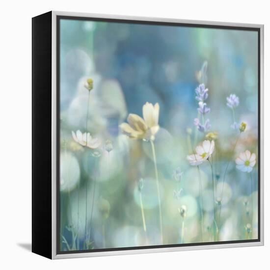 Morning Meadow II-Kate Carrigan-Framed Stretched Canvas
