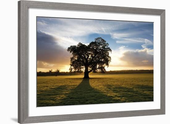 Morning Meadow-Joseph Eta-Framed Giclee Print