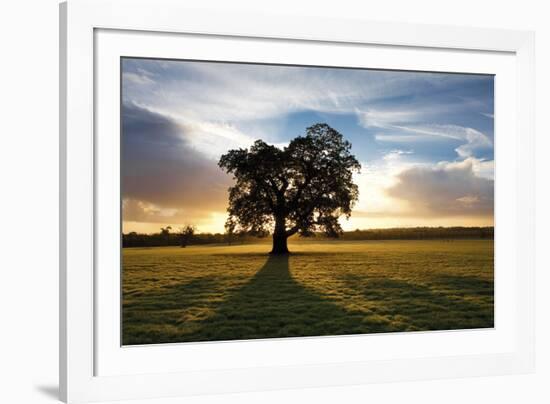 Morning Meadow-Joseph Eta-Framed Giclee Print