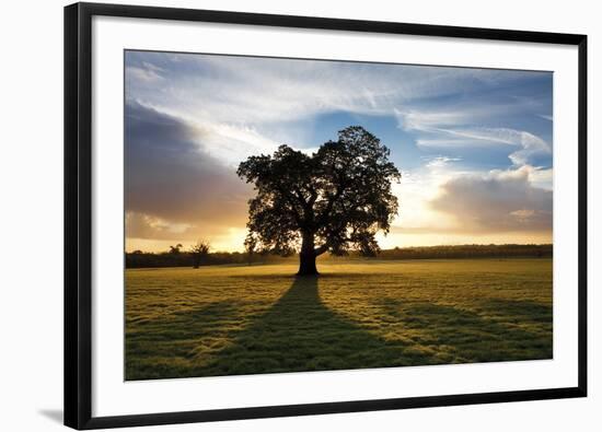 Morning Meadow-Joseph Eta-Framed Giclee Print