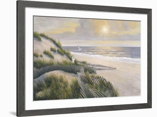 Morning Meditations-Diane Romanello-Framed Art Print