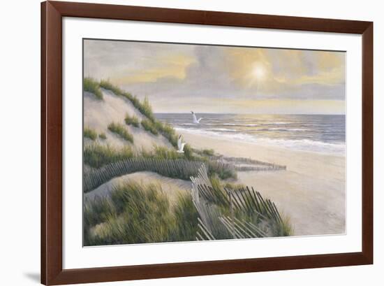 Morning Meditations-Diane Romanello-Framed Art Print