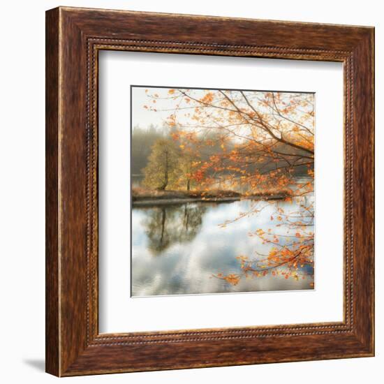 Morning Mirror 2-Diane Poinski-Framed Giclee Print