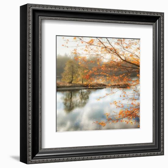 Morning Mirror 2-Diane Poinski-Framed Giclee Print