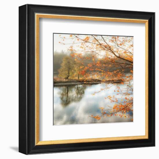 Morning Mirror 2-Diane Poinski-Framed Giclee Print