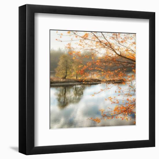 Morning Mirror 2-Diane Poinski-Framed Giclee Print