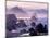 Morning Mist along Oregon Coast near Nesika, Oregon, USA-Adam Jones-Mounted Photographic Print