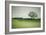 Morning Mist and Tree, Petaluma, Sonoma County, California-Vincent James-Framed Photographic Print