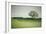 Morning Mist and Tree, Petaluma, Sonoma County, California-Vincent James-Framed Photographic Print