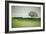 Morning Mist and Tree, Petaluma, Sonoma County, California-Vincent James-Framed Photographic Print