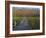 Morning mist at the Corkscrew Swamp Sanctuary boardwalk, Florida-Maresa Pryor-Framed Photographic Print