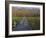 Morning mist at the Corkscrew Swamp Sanctuary boardwalk, Florida-Maresa Pryor-Framed Photographic Print