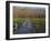 Morning mist at the Corkscrew Swamp Sanctuary boardwalk, Florida-Maresa Pryor-Framed Photographic Print