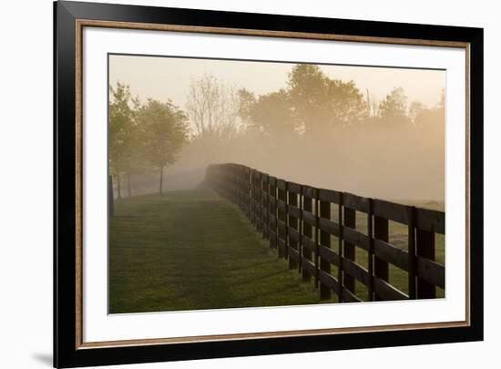 Morning Mist & Fence, Kentucky 08-Monte Nagler-Framed Photographic Print