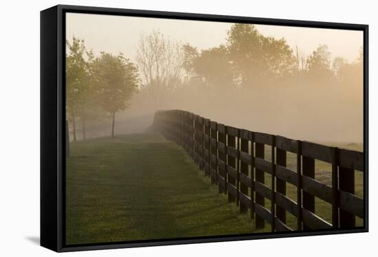 Morning Mist & Fence, Kentucky 08-Monte Nagler-Framed Stretched Canvas