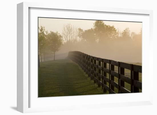 Morning Mist & Fence, Kentucky 08-Monte Nagler-Framed Photographic Print