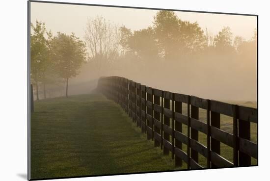 Morning Mist & Fence, Kentucky 08-Monte Nagler-Mounted Photographic Print