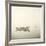 Morning Mist I-Michael Kahn-Framed Giclee Print