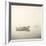 Morning Mist I-Michael Kahn-Framed Giclee Print