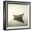 Morning Mist II-Michael Kahn-Framed Giclee Print