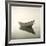 Morning Mist II-Michael Kahn-Framed Giclee Print