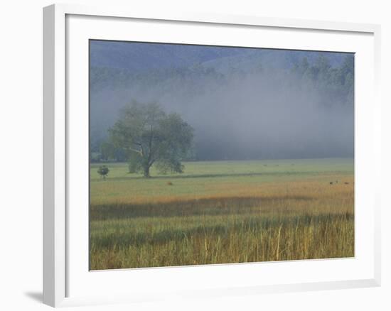 Morning Mist in Cades Cove, Great Smoky Mountains National Park, Tennessee, USA-Adam Jones-Framed Photographic Print